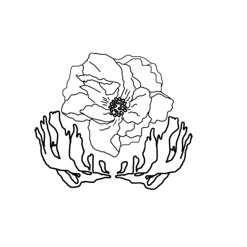 emailed_to_carly_logo