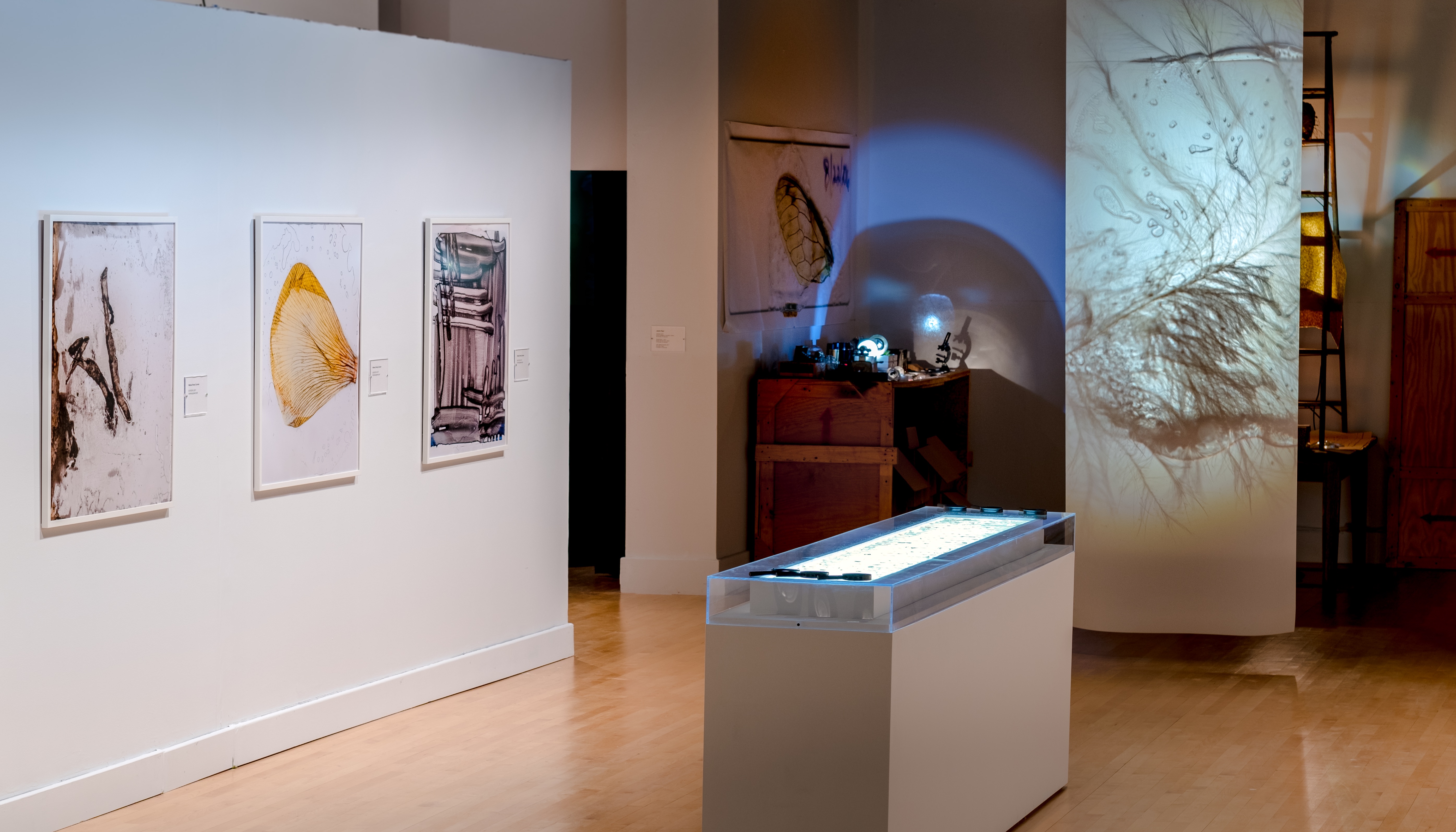 IMDA_Show2017-6 copy