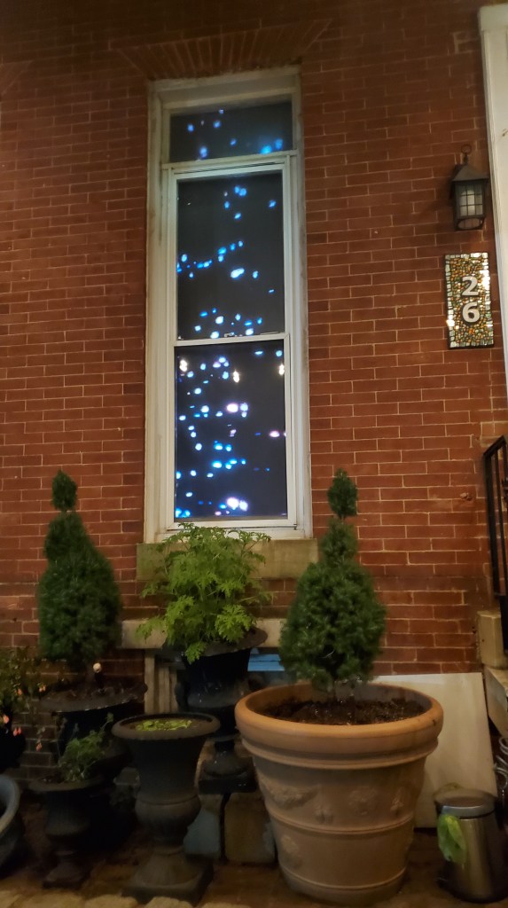 Fireworks projected in window